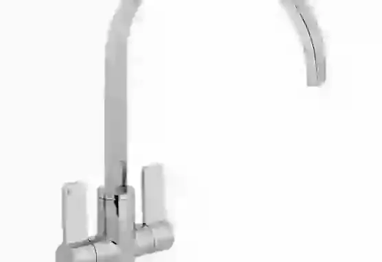 Roya Swan Neck Monobloc Tap